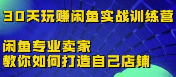 《30天玩赚闲鱼实战训练营》闲鱼专业卖家教你如何打造自己店铺-职场创业讲堂