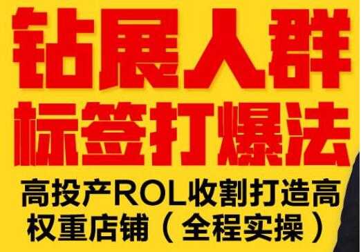 逐鹿《淘宝钻展人群标签打爆法》高投产ROL收割打造高权重店铺(全程实操)-职场创业讲堂