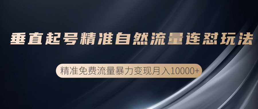 垂直起号精准自然流量连爆玩法，精准引流暴力变现月入10000+-职场创业讲堂